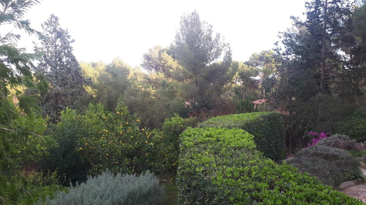 Villa Sea View