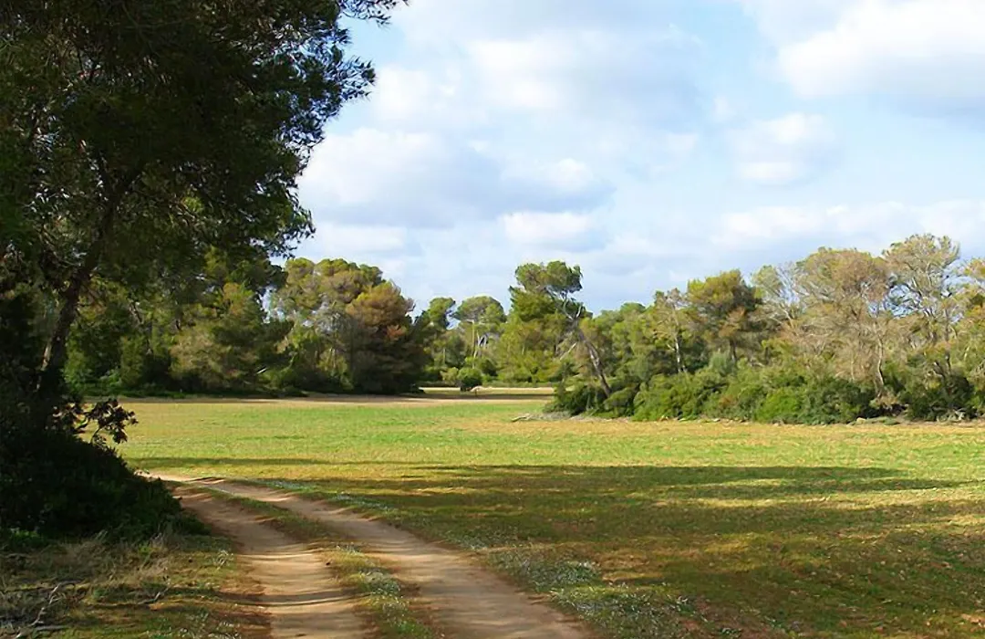 Agroturismo Ses Arenes-1
