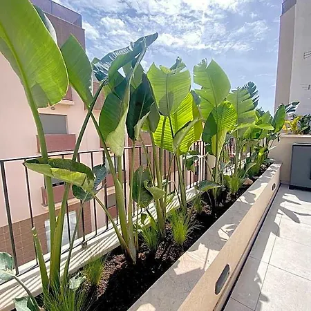 Hotel-Apartment With Big Terrace-3
