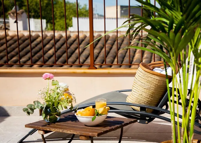 Petit Palau Alcudia - Adults Only Hotell