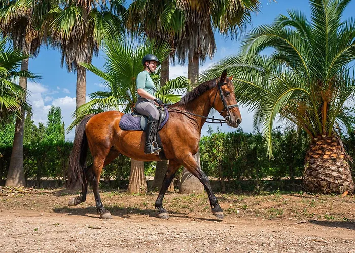 Finca Agroturismo Son Menut Fenalitx 