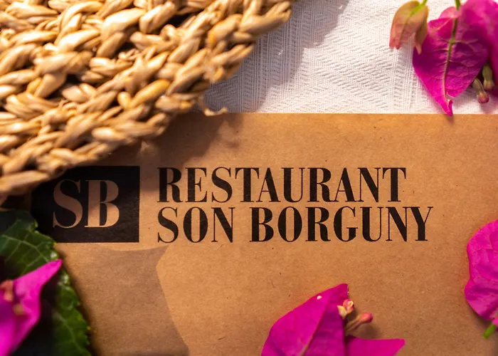 Hotel Son Borguny Banyalbufar