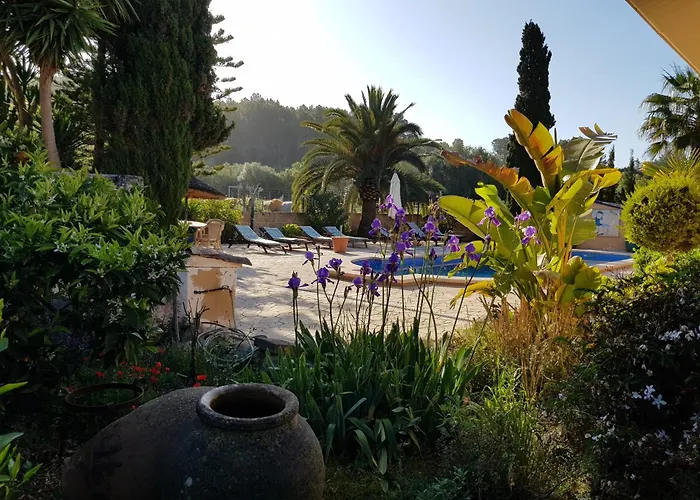Finca Caballo Blanco Montuiri 